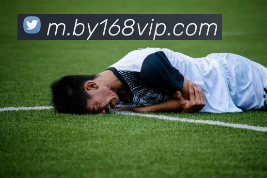 博鱼APP 高清赛事图